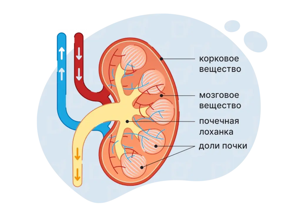 БЛОГ-22.png БЛОГ-22.png